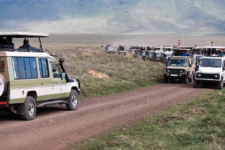 TZA ARU Ngorongoro 2016DEC26 Crater 055